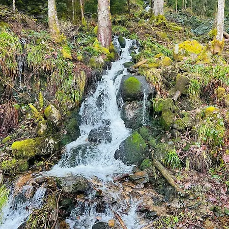 Apartamento Le Jardin Du Cosy Au Calme Gérardmer