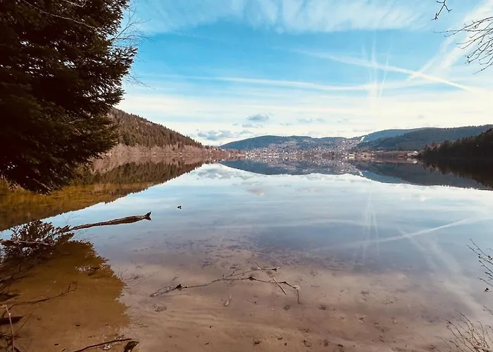 Le Jardin Du Cosy Au Calme Apartment