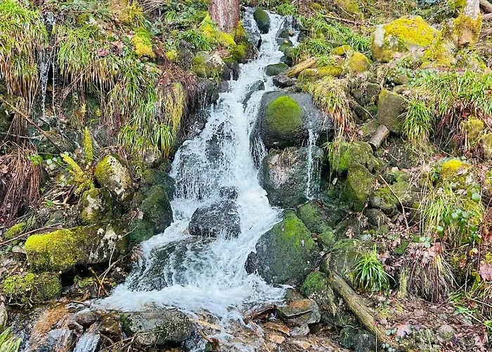 Apartment Le Jardin Du Cosy Au Calme Gerardmer