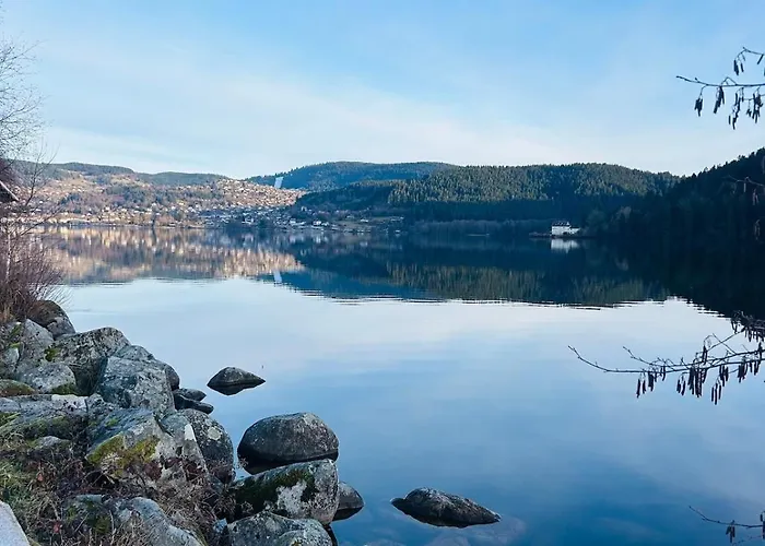 Le Jardin Du Cosy Au Calme * Gerardmer