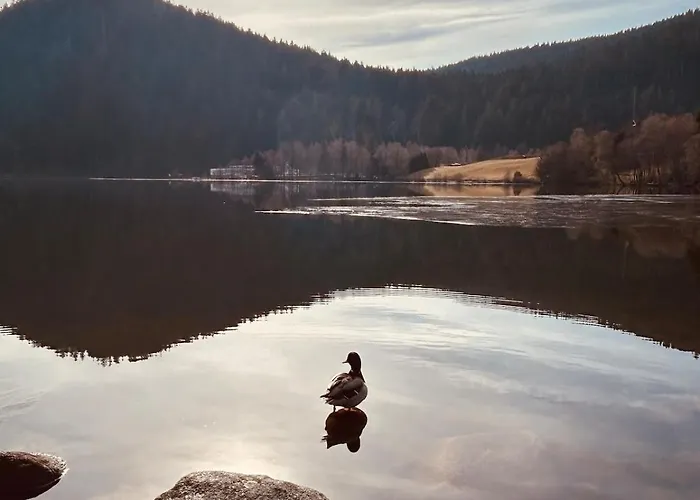 Le Jardin Du Cosy Au Calme Apartment Gerardmer